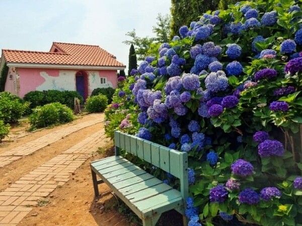 온라인 커뮤니티