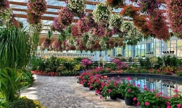 온라인 커뮤니티