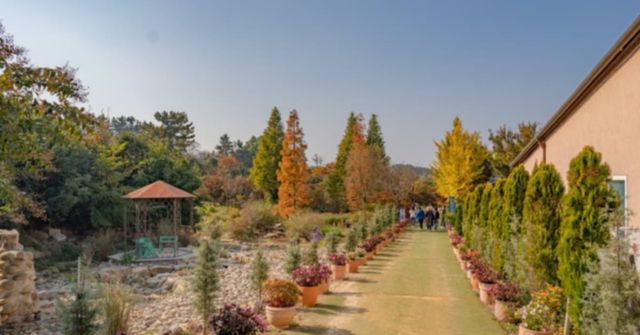 온라인 커뮤니티