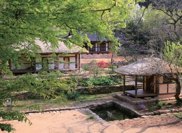 온라인 커뮤니티