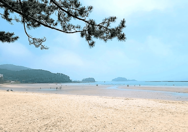 온라인 커뮤니티