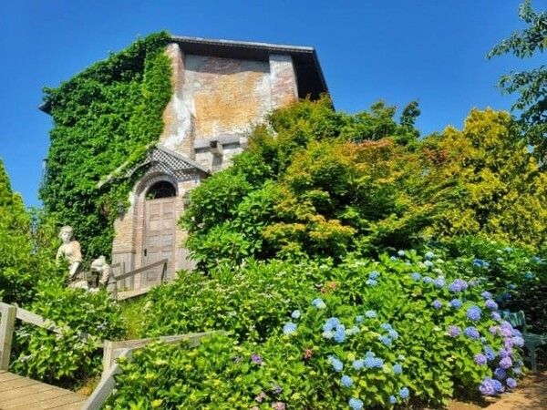 온라인 커뮤니티