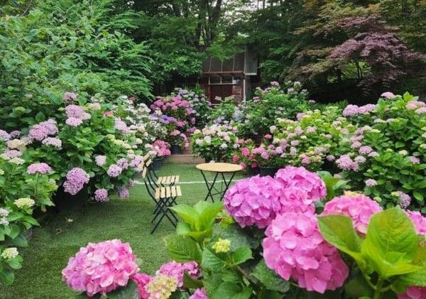 온라인 커뮤니티