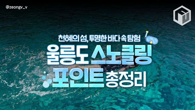 울릉도 스노쿨링 스팟 추천 총정리 / ⓒ여행톡톡