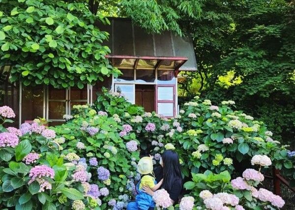 온라인 커뮤니티