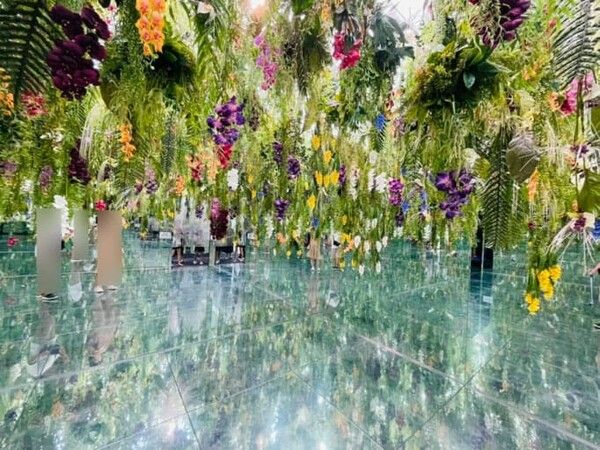 온라인 커뮤니티