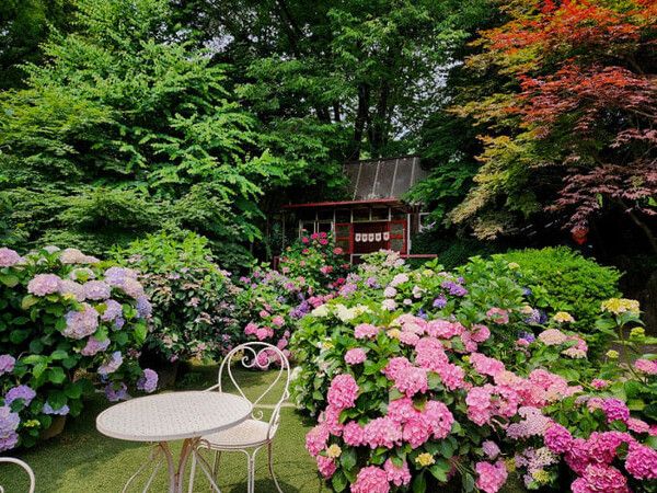 온라인 커뮤니티