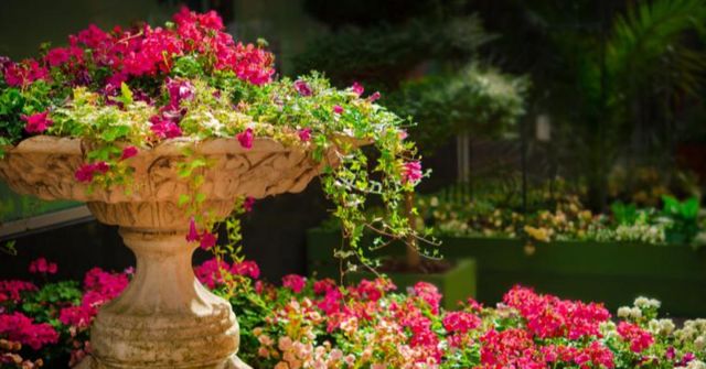 온라인 커뮤니티