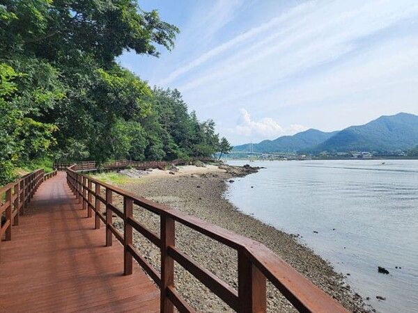 온라인 커뮤니티