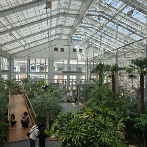 온라인 커뮤니티