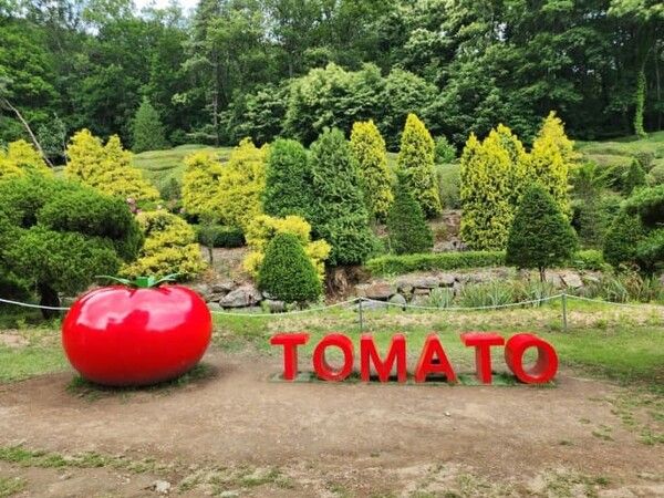 온라인 커뮤니티