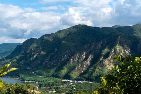 온라인 커뮤니티