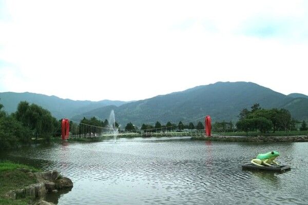 온라인 커뮤니티