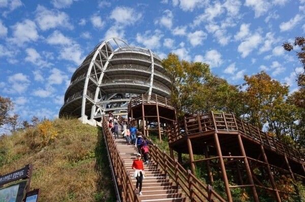 온라인 커뮤니티