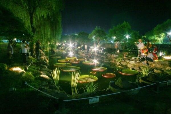 온라인 커뮤니티