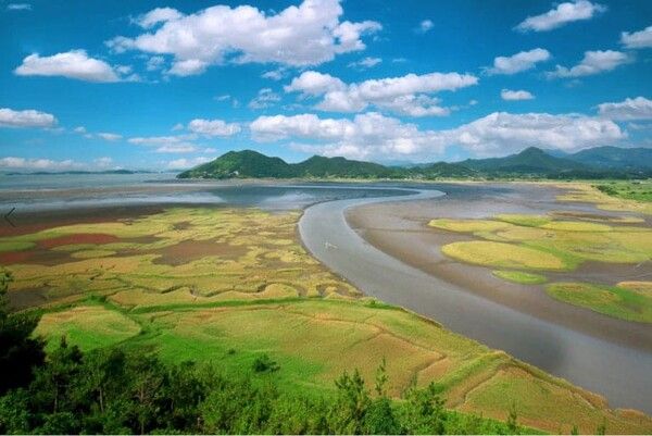 온라인 커뮤니티