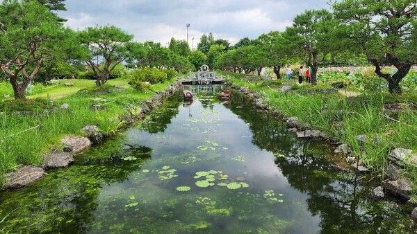 온라인 커뮤니티