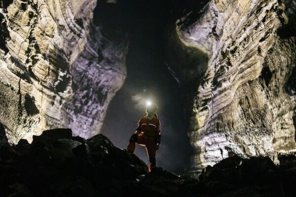 온라인 커뮤니티