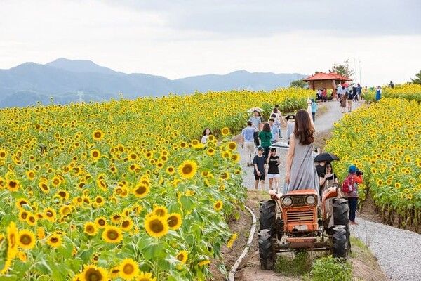 온라인 커뮤니티
