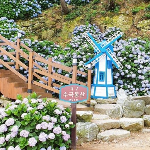 온라인 커뮤니티