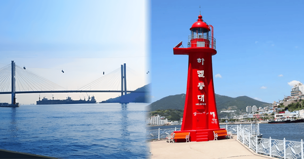 트리플 / 온라인 커뮤니티