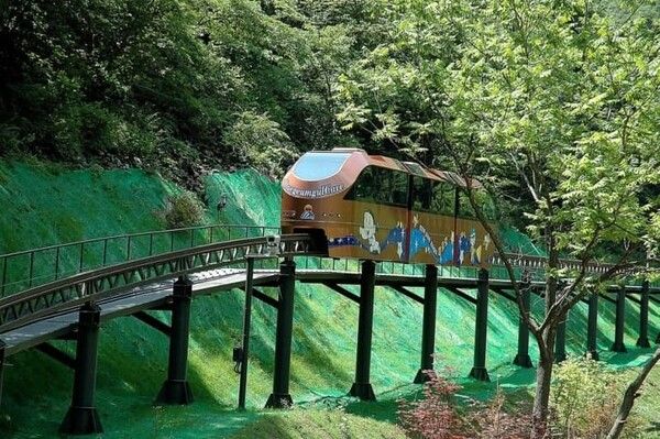 온라인 커뮤니티