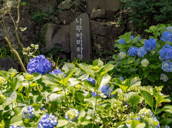 온라인 커뮤니티