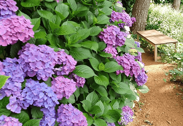 온라인 커뮤니티