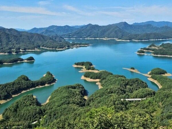 온라인 커뮤니티