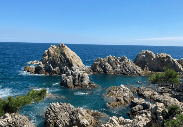 온라인 커뮤니티