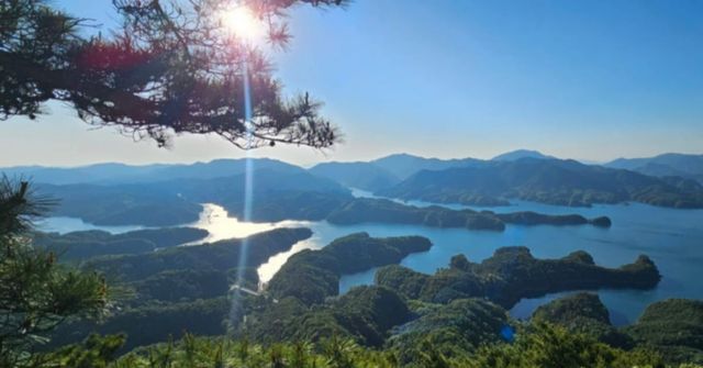 온라인 커뮤니티