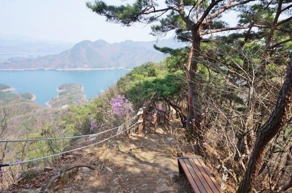 온라인 커뮤니티