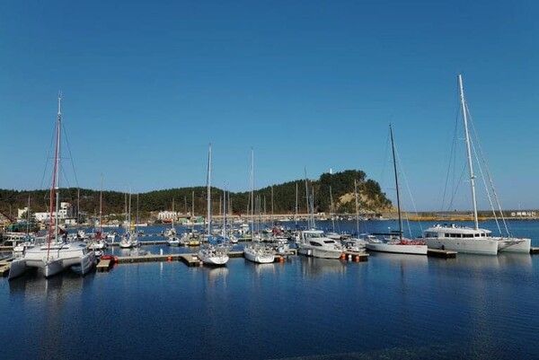 온라인 커뮤니티