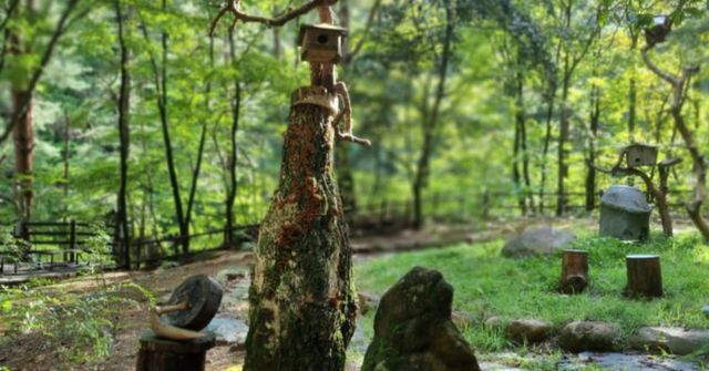 온라인 커뮤니티