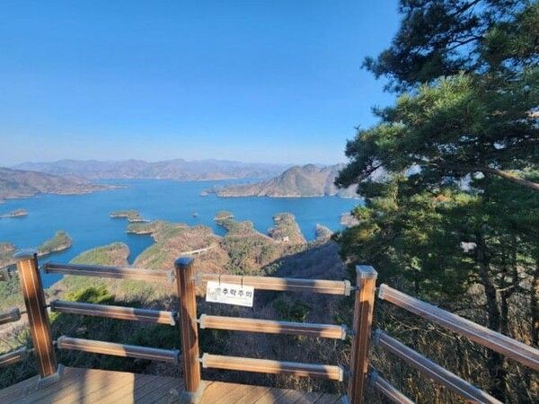 온라인 커뮤니티