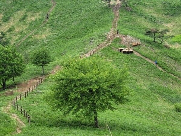 온라인 커뮤니티