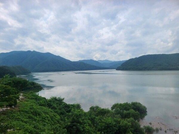 온라인 커뮤니티