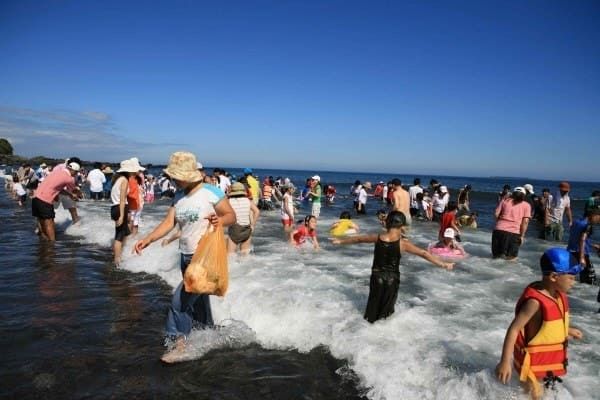 온라인 커뮤니티