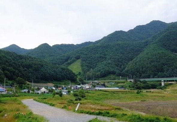 온라인 커뮤니티