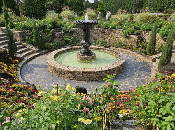 온라인 커뮤니티