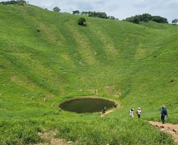 온라인 커뮤니티