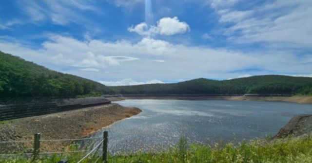 온라인 커뮤니티