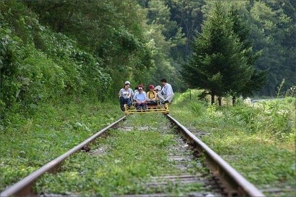 온라인 커뮤니티