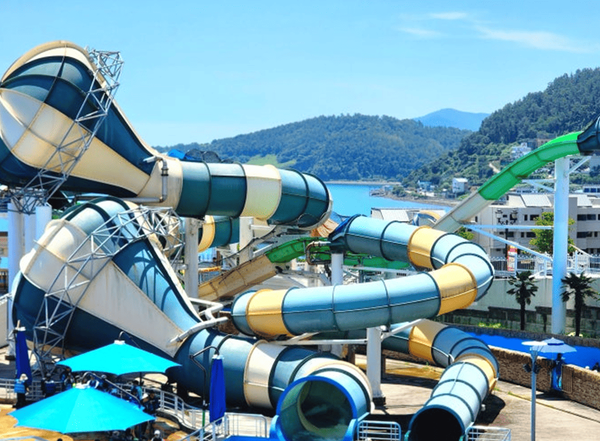 온라인 커뮤니티