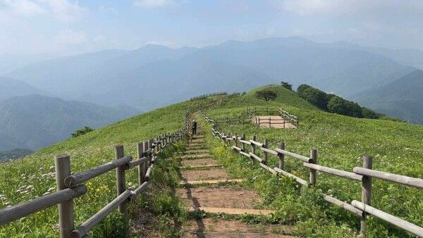 온라인 커뮤니티