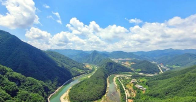 온라인 커뮤니티