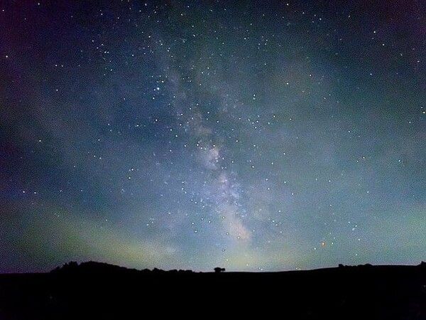 온라인 커뮤니티