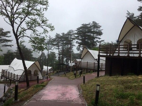 온라인 커뮤니티