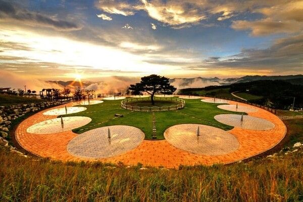 온라인 커뮤니티