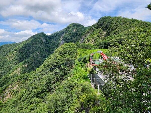 온라인 커뮤니티